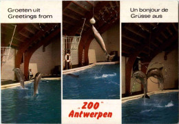 Antwerpen - Zoo - Antwerpen