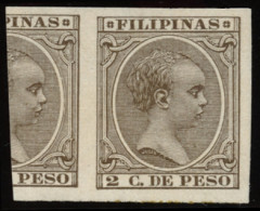 FILIPINAS. (*) 110s. 2 Cts. Lujo. Muy Raro. Cat. 400 €. - Filipinas