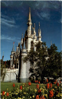 Disneyworld - Andere & Zonder Classificatie