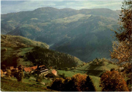 Zell Pfaffenberg - Lörrach