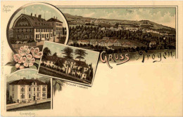 Gruss Aus Trogen - Litho - Trogen