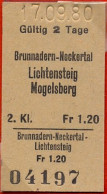 17/09/80 , BRUNNADERN - NECKERTAL , LICHTENSTEIG , MOGELSBERG , TICKET DE FERROCARRIL , TREN , TRAIN , RAILWAYS - Europe