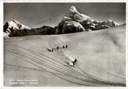 Säntis - Skifelder Stütze 3 - Tierwies - Sonstige & Ohne Zuordnung