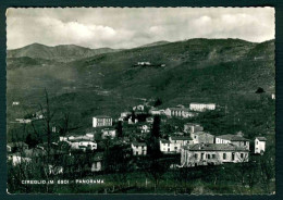 BF081 CIREGLIO - PANORAMA - PISTOIA - 1955 - Sonstige & Ohne Zuordnung