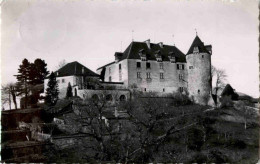 Chateau De Gruyeres - Gruyères