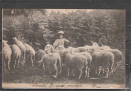 23 - Petite Bergère Creusoise (côte Carré 22/27) - Sonstige & Ohne Zuordnung