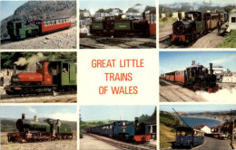 Great Little Trains Of Wales - Treinen