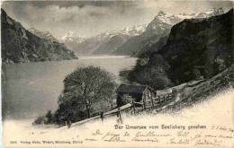 Urnersee Vom Seelisberg - Andere & Zonder Classificatie