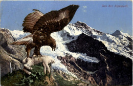 Adler - Eagle - Vögel