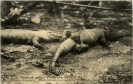 Gornichem - Miniatur ZweefcarousselBruxelles - L Incide 1910 - Crocodile - Andere & Zonder Classificatie