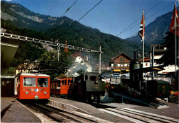 Vitznau Rigi Bahn - Eisenbahn - Vitznau