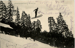 Ski Springen - Winter Sports