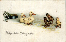 Kücken - Enten - Vögel