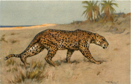 Leopard - Altri & Non Classificati