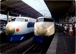 Bullet Trains At Tokyo Central Railroad Station - Treni