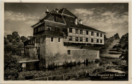 Schloss Hagenwil Bei Amriswil - Amriswil