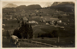 Wildhaus - Wildhaus-Alt Sankt Johann