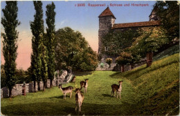 Rappersewil - Hirschpark - Rapperswil-Jona