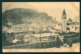 BF090 PIEVE DI CADORE COLLA VEDUTA DEL PICCO DI MEZZODI - ANIMATA 1920 CIRCA BELLUNO - Other & Unclassified