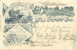 Gruss Vom Dümmer See - Gasthof - Litho - Ludwigslust