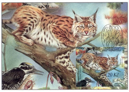 CM 694 Czech Republic Nature Protection Sumava Biosphere Reserve Lynx 2011 - Big Cats (cats Of Prey)