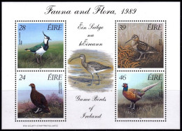 Ireland 1989 Bird Games Complete Souvenir Sheet SC 758a MNH - Ungebraucht