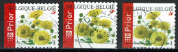 België OBP 3432 - Flowers Chrysant Complete - Oblitérés