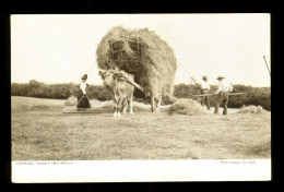 United Kingdom Channel Isles Jersey Guernesey Etc... Hay Cart Charrette à Foin - Autres & Non Classés