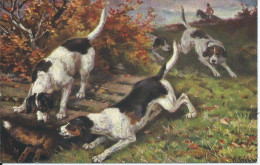 Chasse , 4 Chiens, Renard.  / Jâgd, 4 Hunde, Fuchs. (Illustrateur Muller J.) - Honden