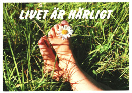 Child's Bare Toes Daisy Grass Summer Life Is Lovely Livet är Härligt Unused Postcard Publisher Svenska Naturkort, Sweden - Svezia