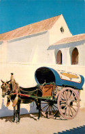 73785143 Alentejo PT Einspanner  - Sonstige & Ohne Zuordnung