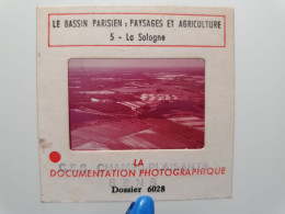 Photo Diapo Diapositive Slide Bassin Parisien Paysage & AGRICULTURE N°5 Sologne MENESTREAU En VILLETTE Vers ORLEANS 1976 - Diapositivas