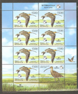 Belarus: Mint Sheetlet, Bird Of The Year - Eurasian Curlew, 2011, Mi#849, MNH - Bielorrusia