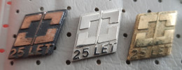 Elektroelement Izlake 25 Years Electrical Industry, Power Slovenia Ex Yugoslavia Pins - Marche