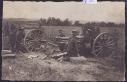 Von Frauenfeld - Feldgeschützes - Kanone Und Männer (15'265) - Frauenfeld