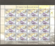 Belarus: Mint Sheetlet, 20 Years Of Chernobyl Tragedy, 2006, Mi#618, MNH. - Belarus