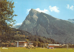 74-SAMOENS-N°3772-B/0261 - Samoëns