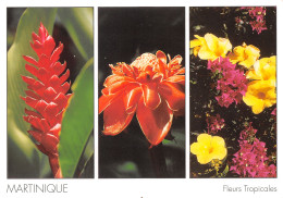 972-MARTINIQUE FLEURS TROPICALES-N°3772-B/0167 - Autres & Non Classés