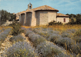 84-PROVENCE PLATEAU DES ABEILLES-N°3772-B/0049 - Otros & Sin Clasificación