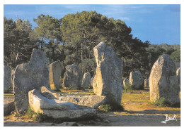 56-CARNAC-N°3772-A/0257 - Carnac