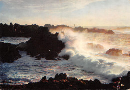 29-OUESSANT-N°3772-D/0037 - Ouessant