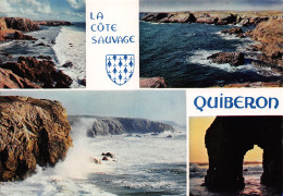 56-QUIBERON-N°3773-C/0037 - Quiberon