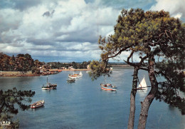 56-MORBIHAN LE GOLFE-N°3773-A/0313 - Sonstige & Ohne Zuordnung