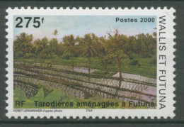 Wallis Und Futuna 2000 Landwirtschaft Taroplantage 777 Postfrisch - Ongebruikt