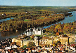 37-AMBOISE-N°3773-C/0365 - Amboise