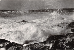 22-LA BRETAGNE PAYSAGE DE LA MER-N°3774-B/0321 - Sonstige & Ohne Zuordnung