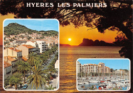 83-HYERES LES PALMIERS-N°3774-B/0031 - Hyeres