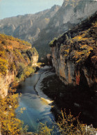 48-GORGES DU TARN-N°3774-A/0249 - Gorges Du Tarn