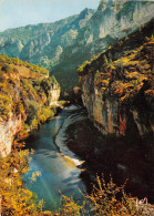 48-GORGES DU TARN-N°3774-A/0247 - Gorges Du Tarn