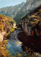 48-GORGES DU TARN-N°3774-A/0245 - Gorges Du Tarn